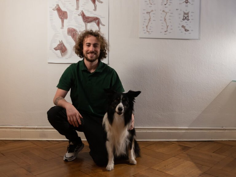 Willkommen bei Hundestark – wer ich bin und warum es diesen Blog gibt