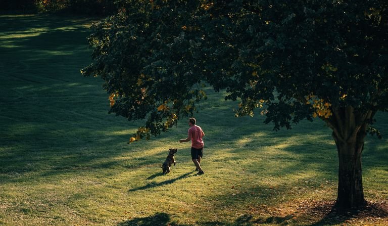 A man enjoys a playful moment with his dog in a sunny outdoor park setting.