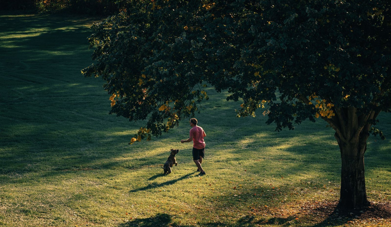 A man enjoys a playful moment with his dog in a sunny outdoor park setting.