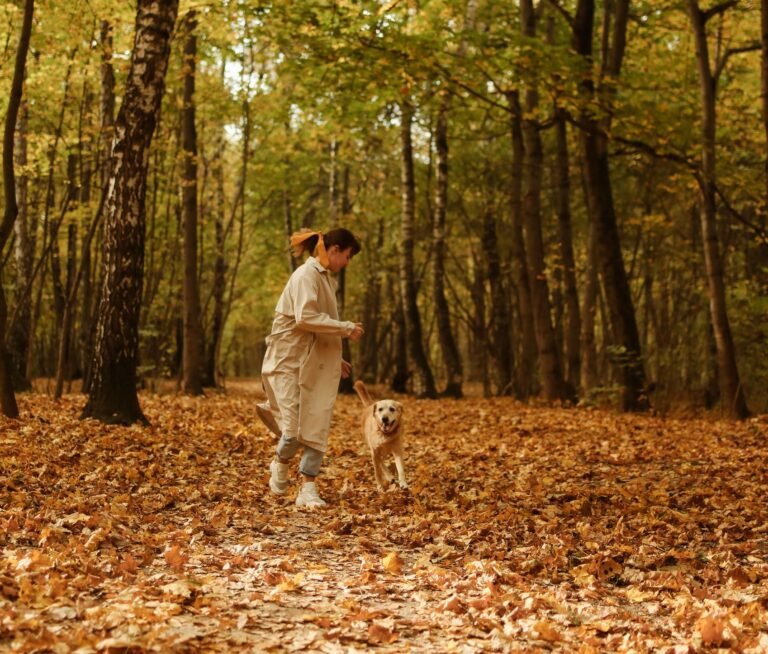 A woman and her Labrador retriever running together in a beautiful autumn forest.